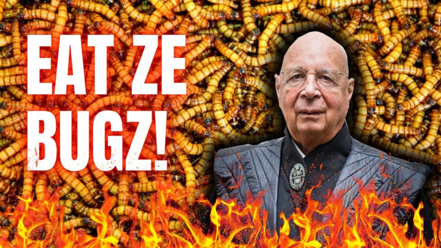 JAK KORPORACJE ZMUSZĄ MILIARD LUDZI DO NIE JEDZENIA MIĘSA ?