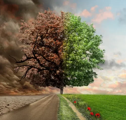 ”ZIELONY ŁAD” ELIT – CZY KRYZYS KLIMATYCZNY W OGÓLE ISTNIEJE ?